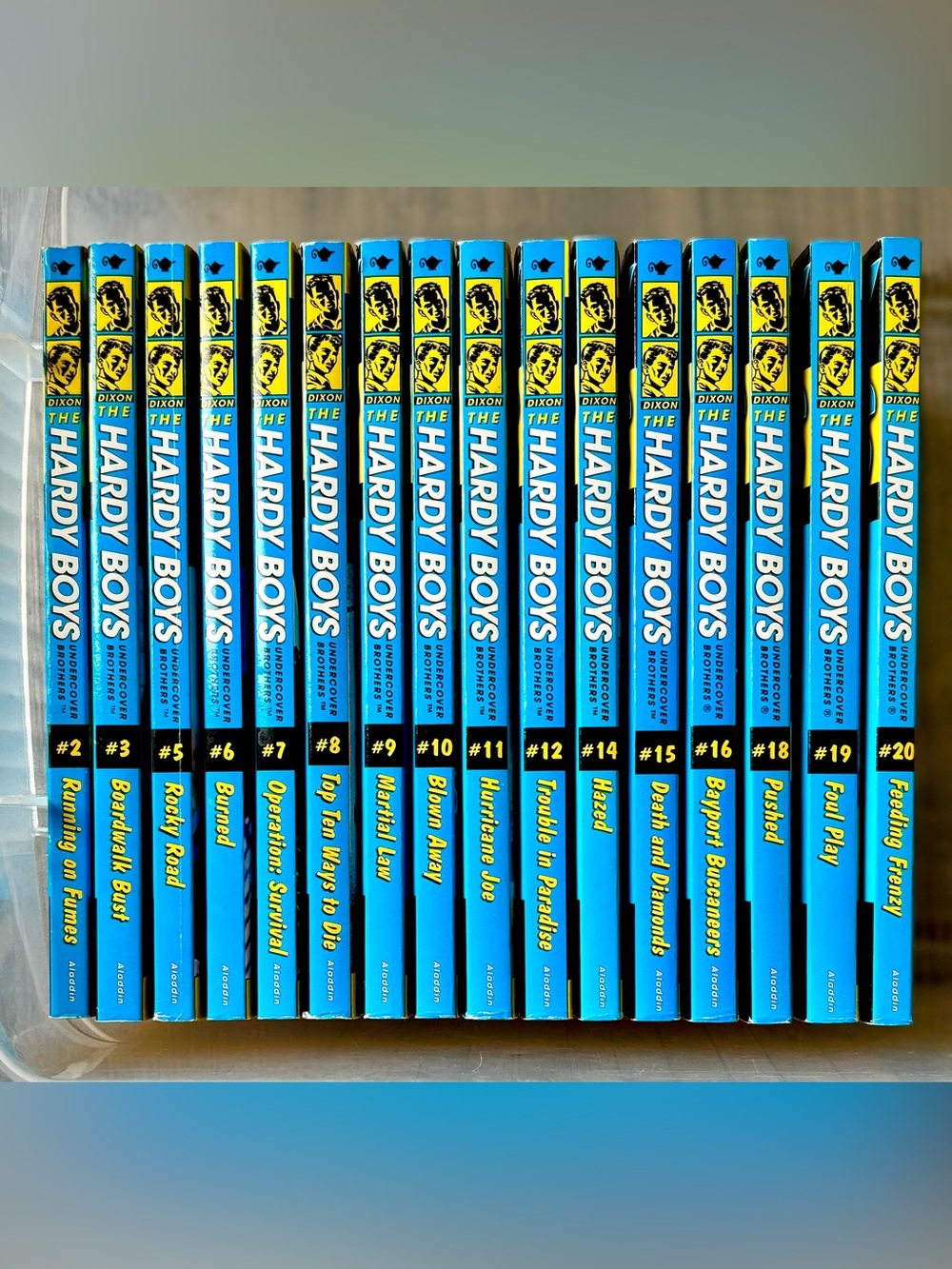 Lot of 16 Paperback Hardy Boys Books